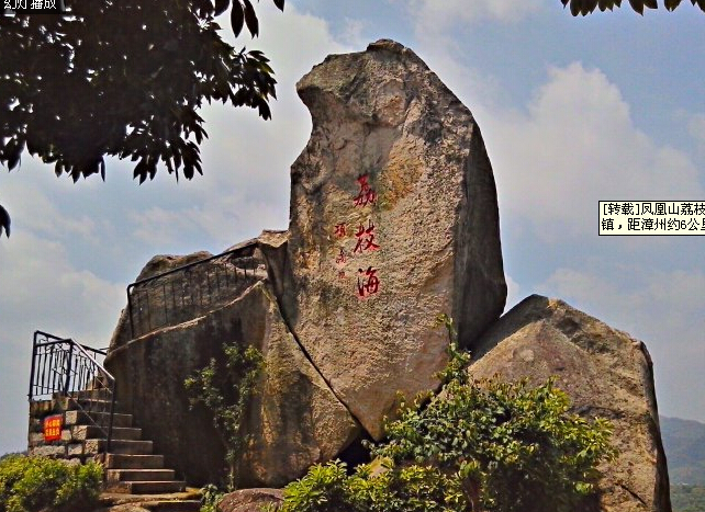 漳州荔枝海鸡母山山庄